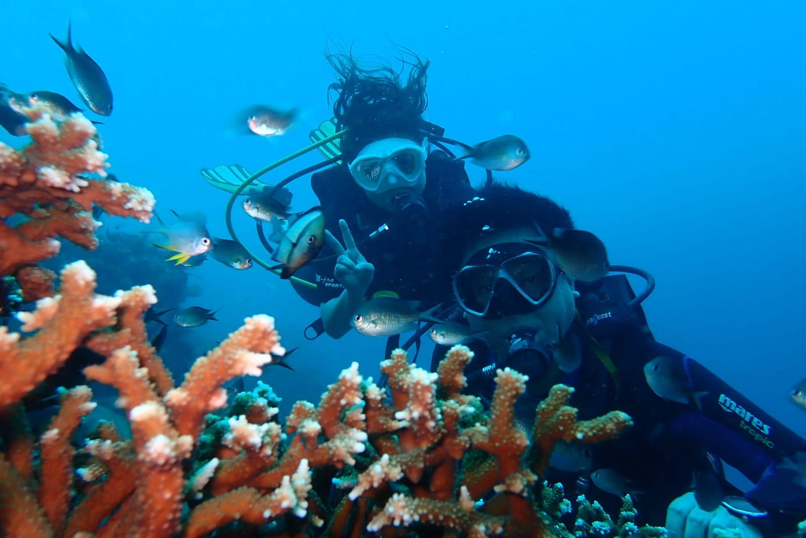 Scuba Odessey — 8