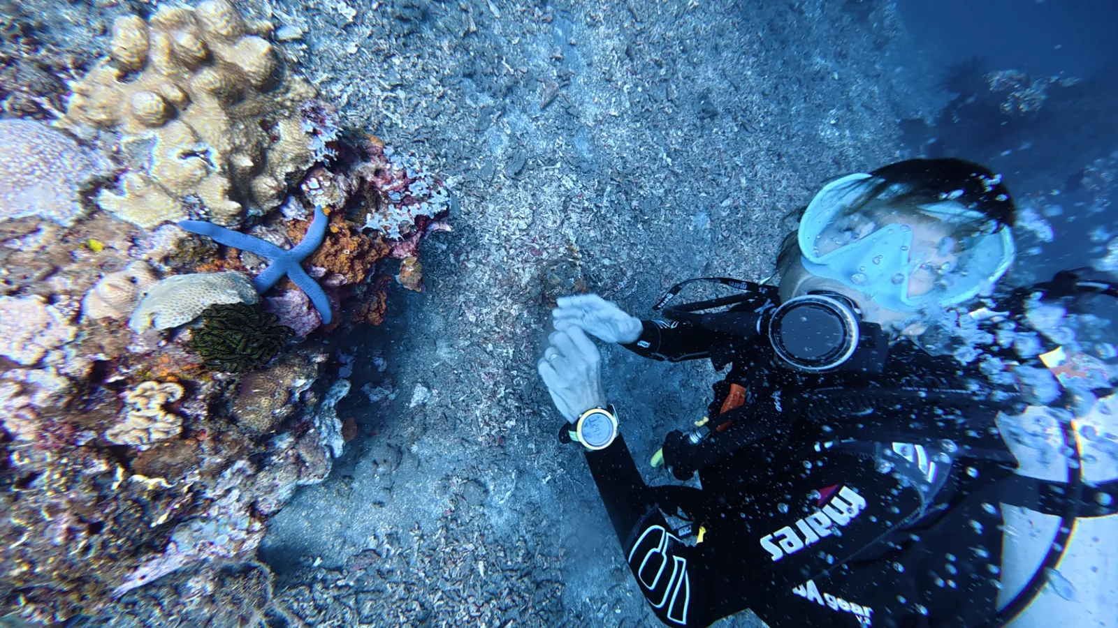 A diver pausing beside a reef