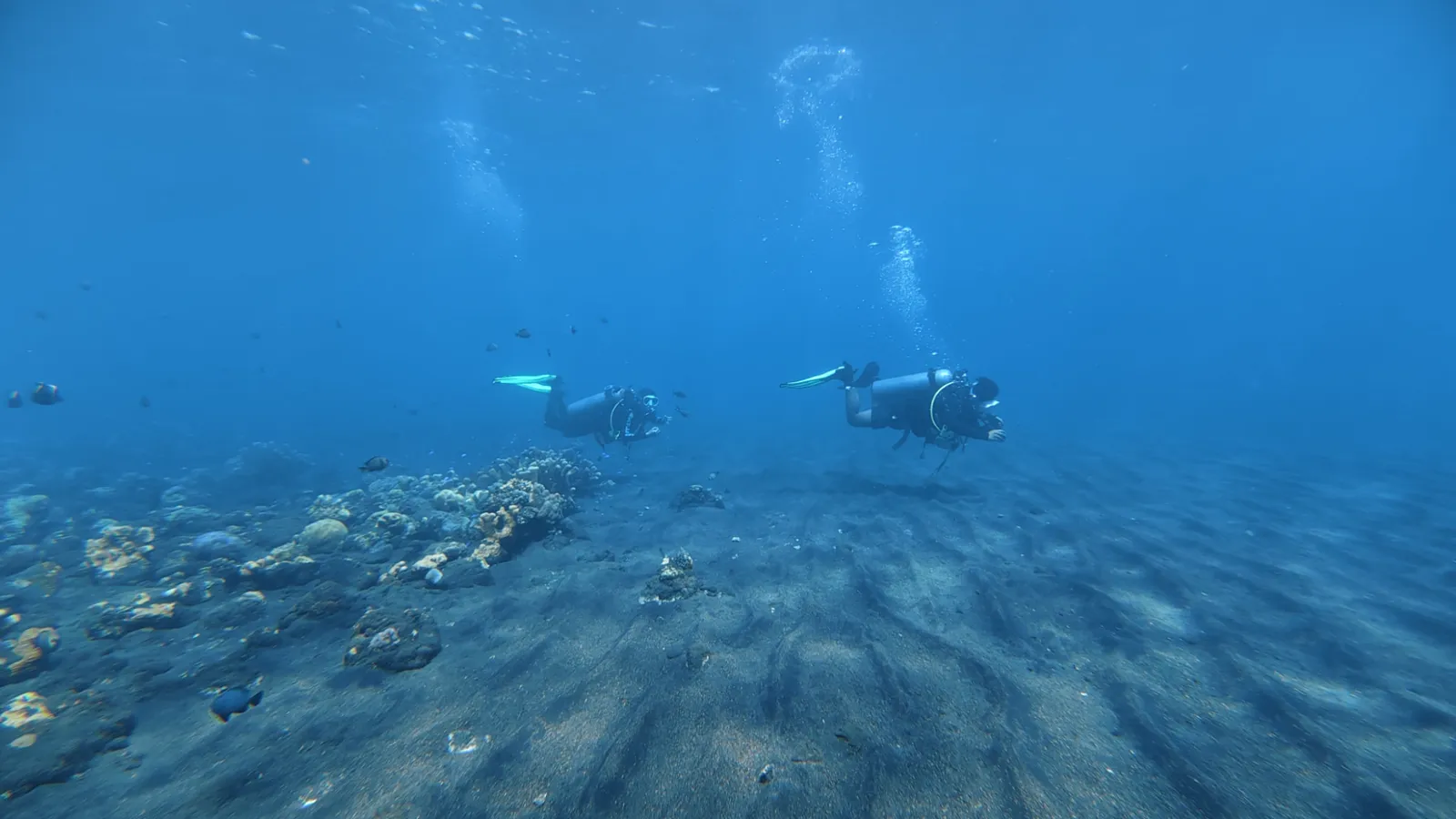 Two divers swimming side by side over sand