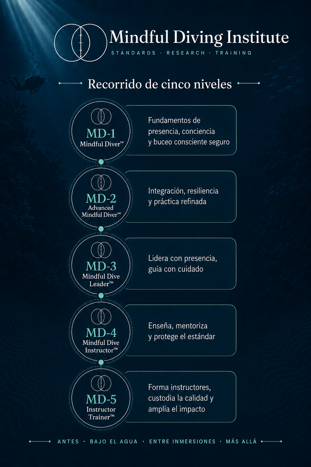Ruta de cinco niveles del Mindful Diving Institute en vertical, de MD-1 a MD-5.