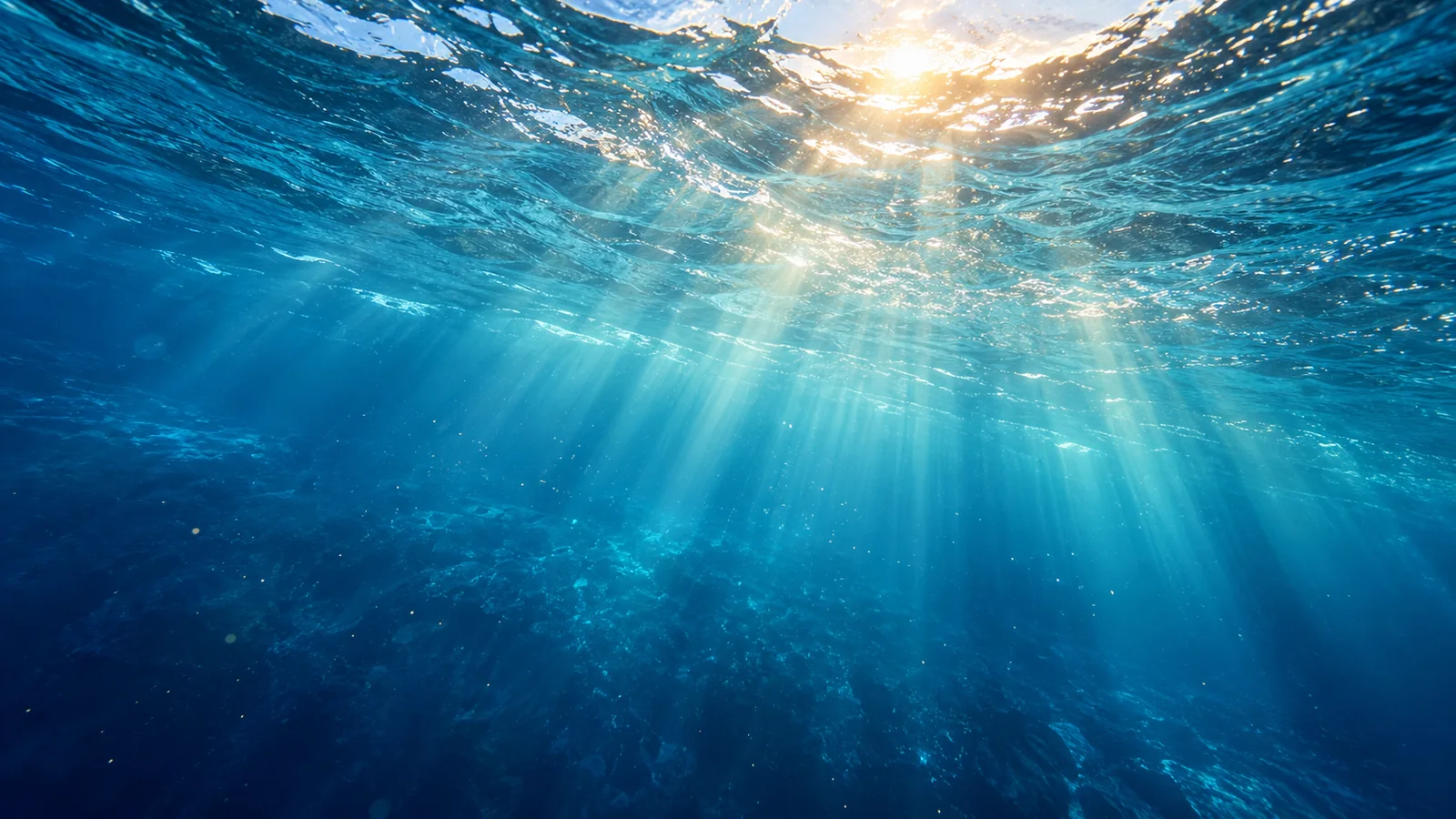Mindfulness, Diving, and the Sacred Meaning of Water