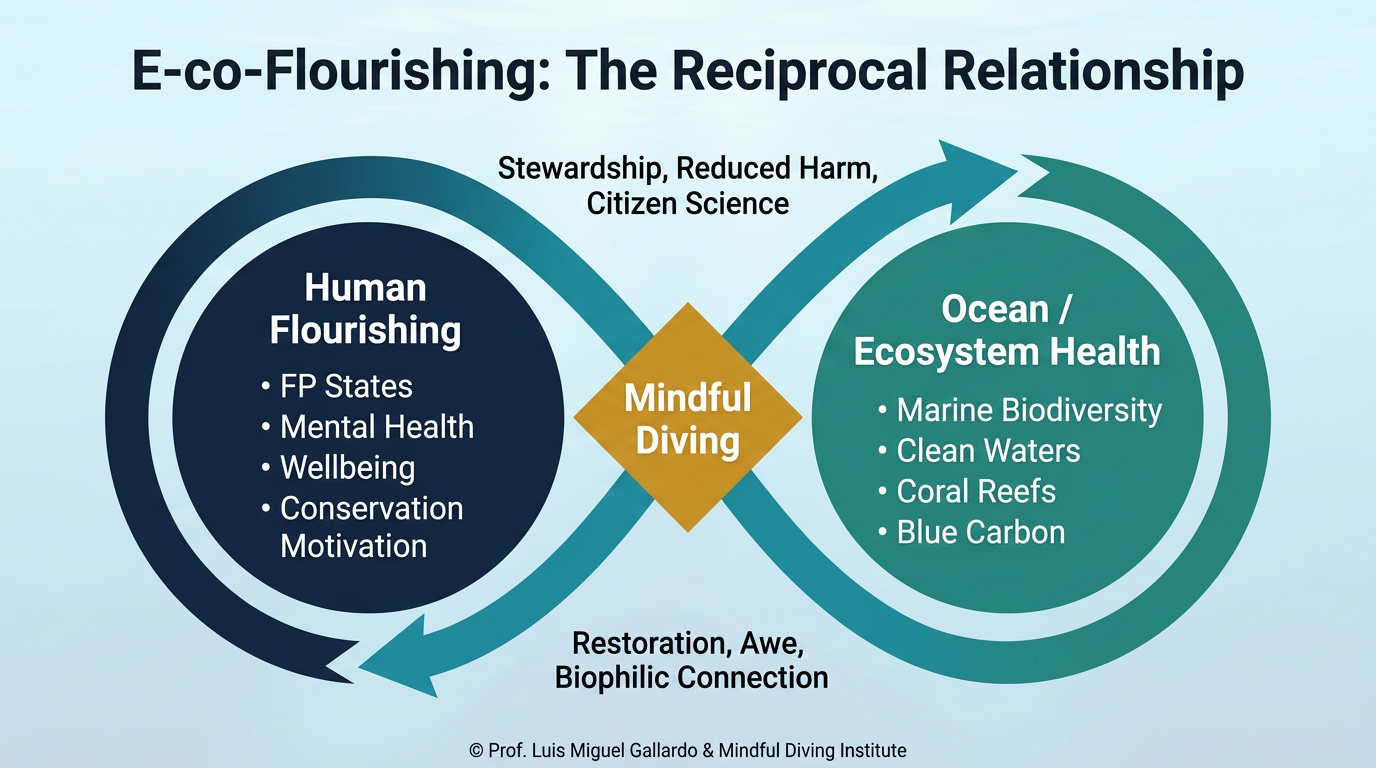 Figure 4 | E-co-flourishing reciprocal loop — the bidirectional relationship between ocean immersion, Fundamental Peace states and ecological-collective flourishing.