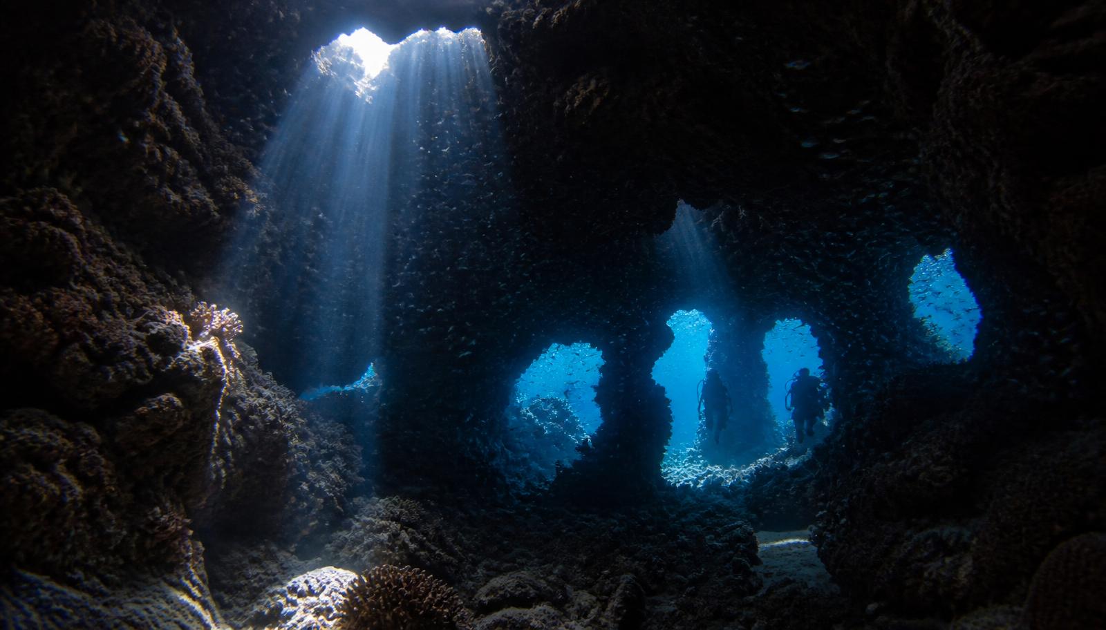 St John's — cavern light, the slowest attention of the week.