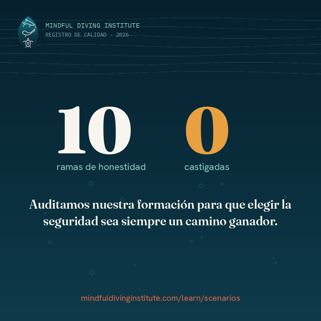 Audit card — ES (1080×1080)