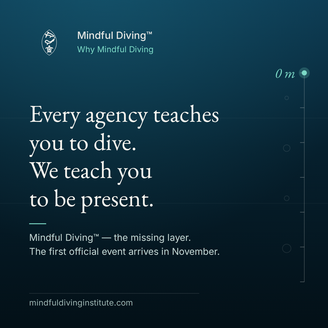 01 · Why Mindful Diving