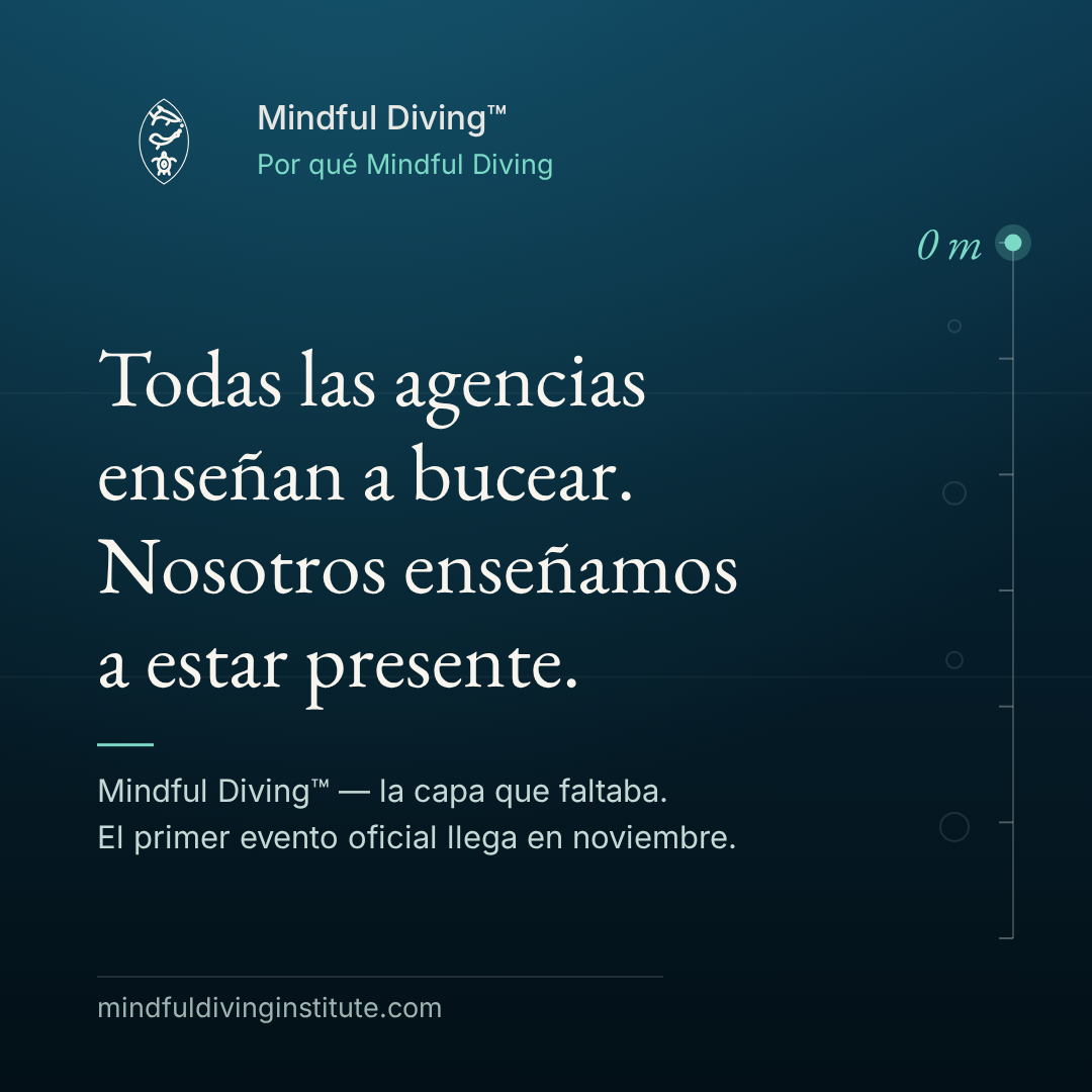 01 · Por qué Mindful Diving