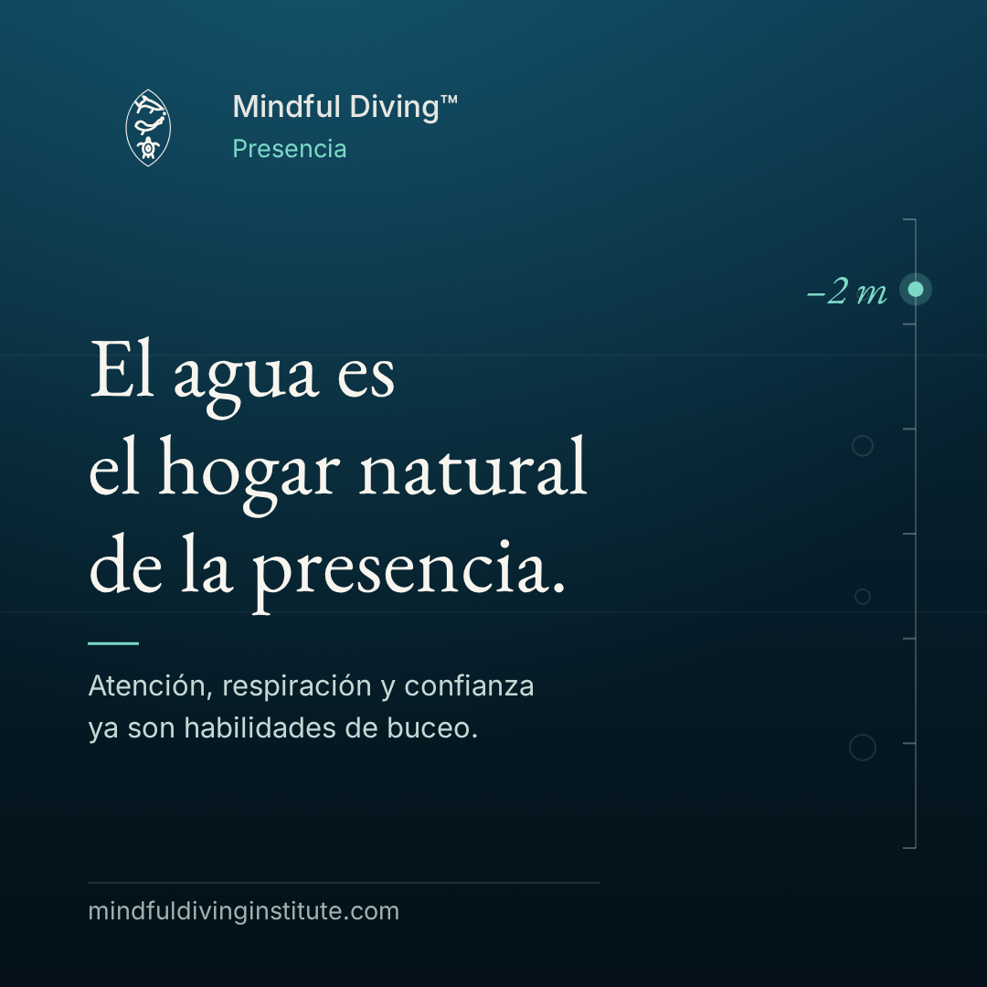 02 · Presencia