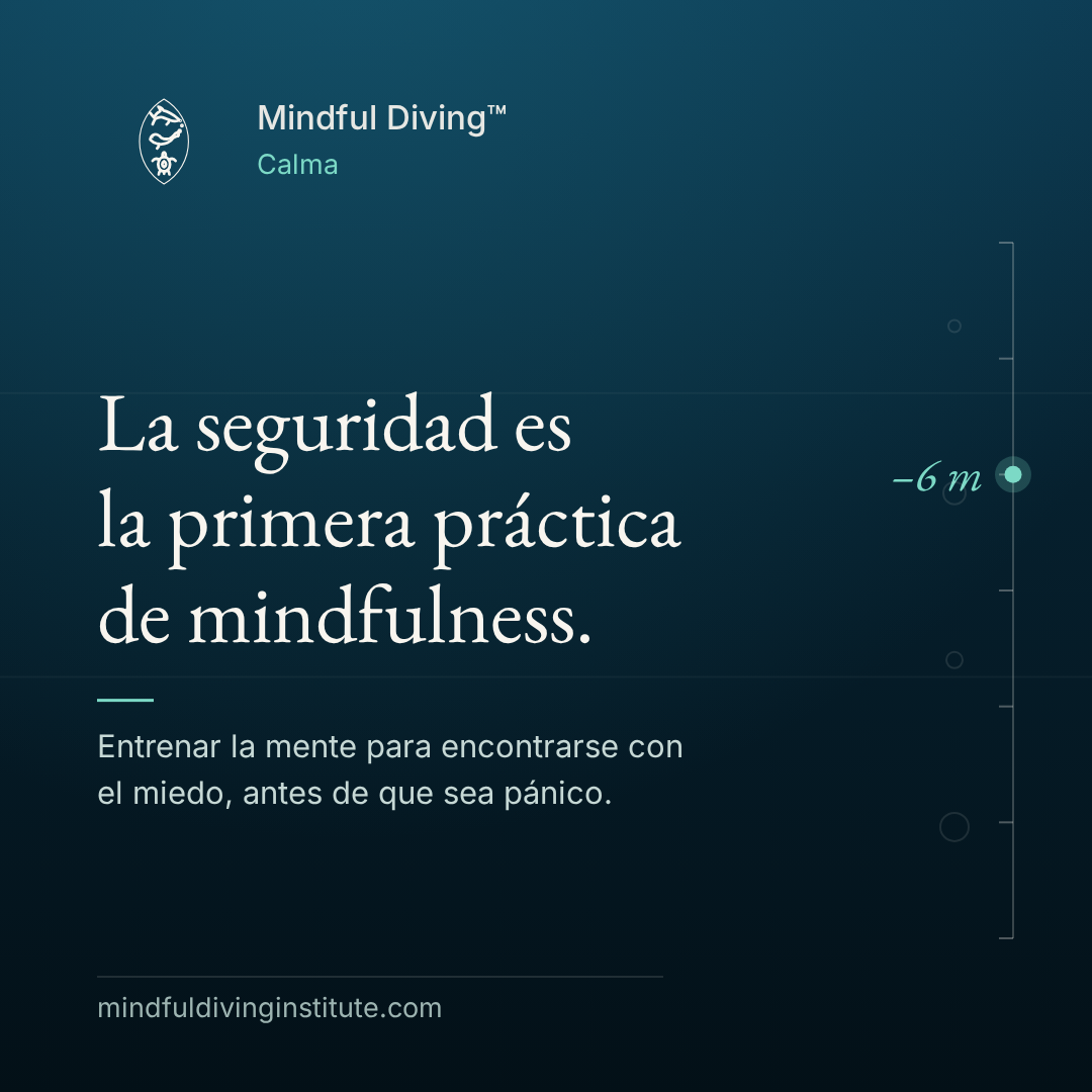 04 · Calma