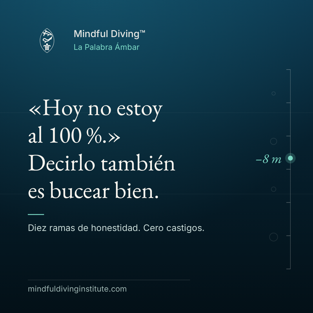 05 · La Palabra Ámbar