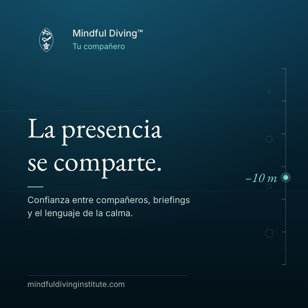 06 · Tu compañero
