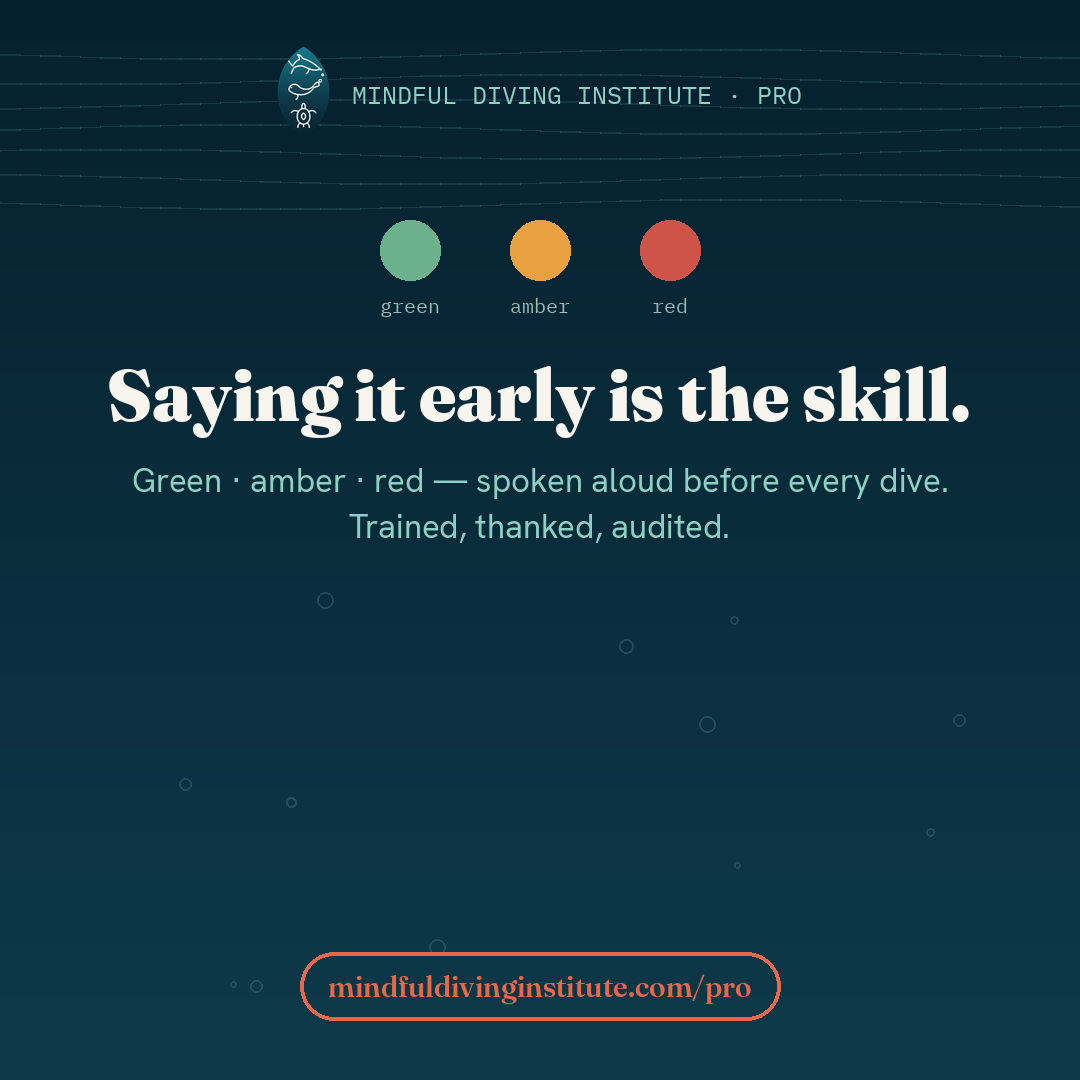 The amber word — Mindful Diving PRO card 4 (EN)