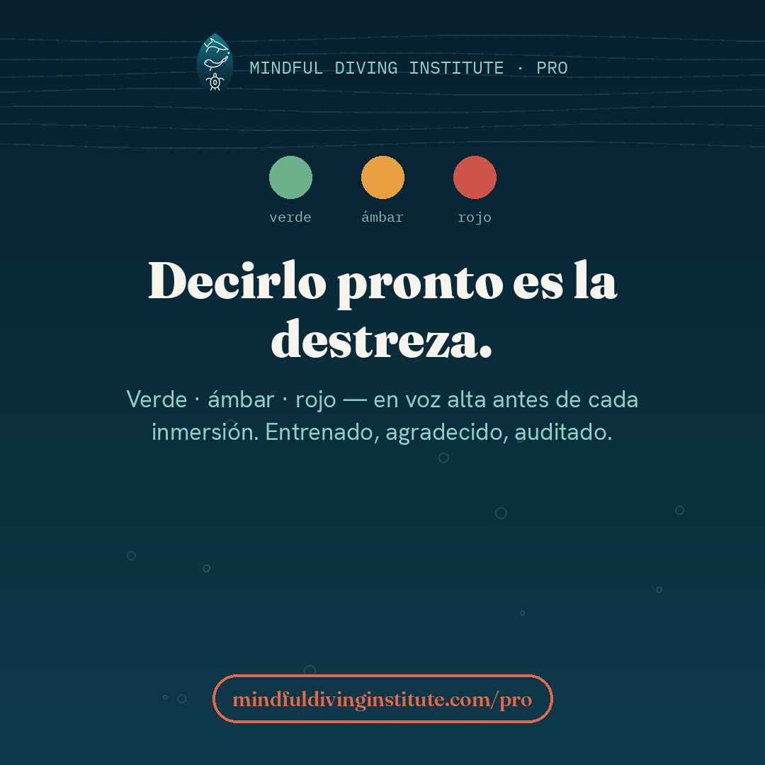 La palabra ámbar — Mindful Diving PRO card 4 (ES)