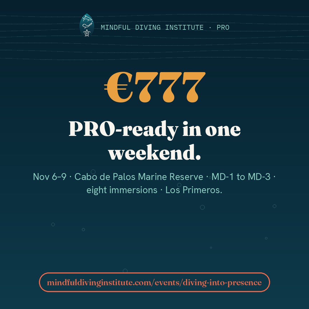 PRO-ready in four days — Mindful Diving PRO card 5 (EN)