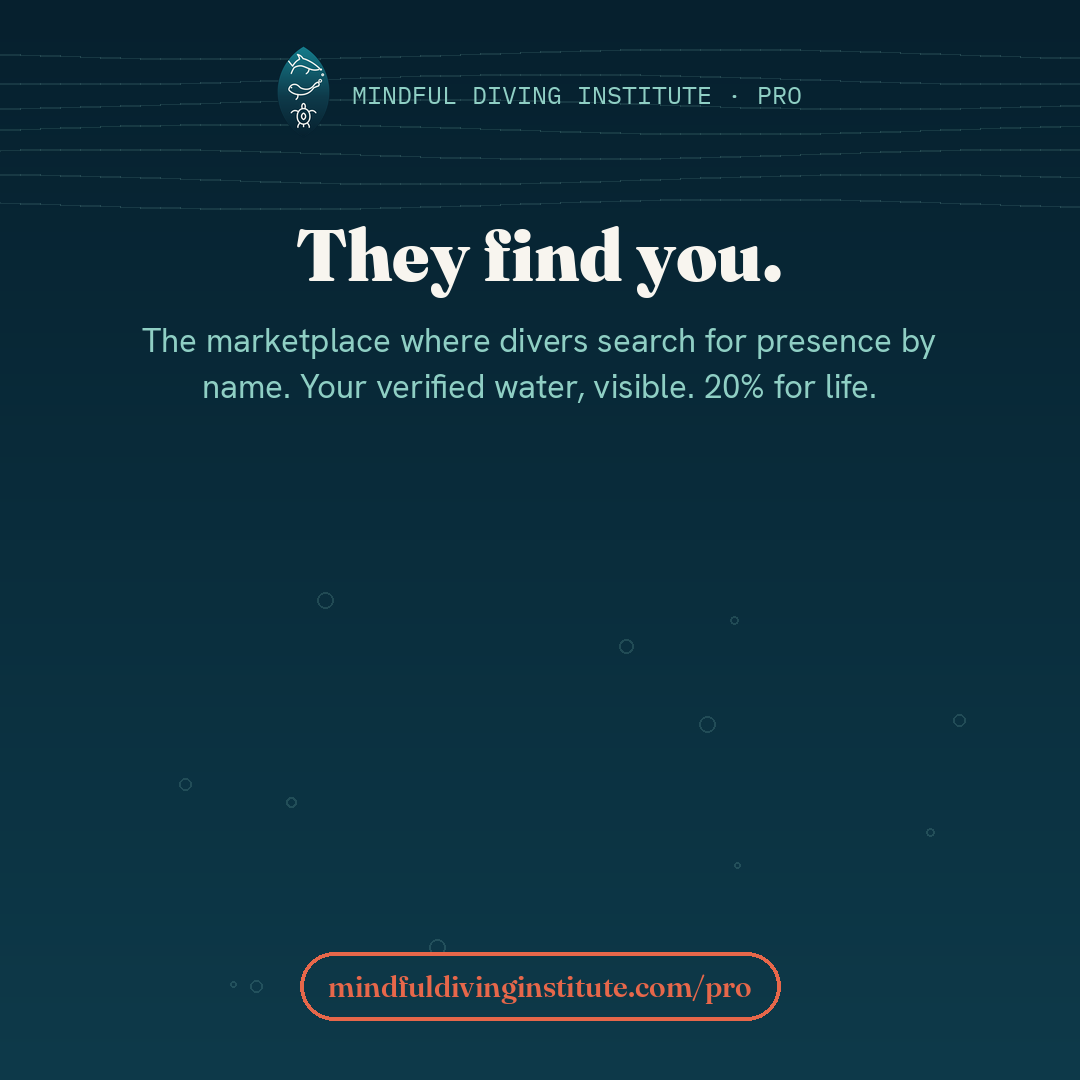 They find you — Mindful Diving PRO card 7 (EN)