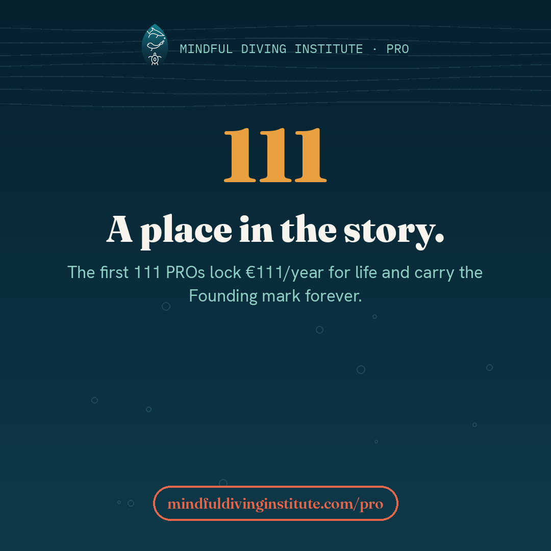 The first 111 — Mindful Diving PRO card 9 (EN)