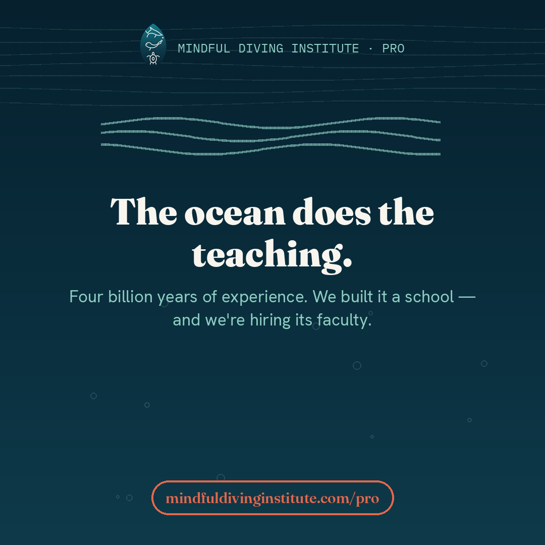 Let the ocean teach — Mindful Diving PRO card 10 (EN)
