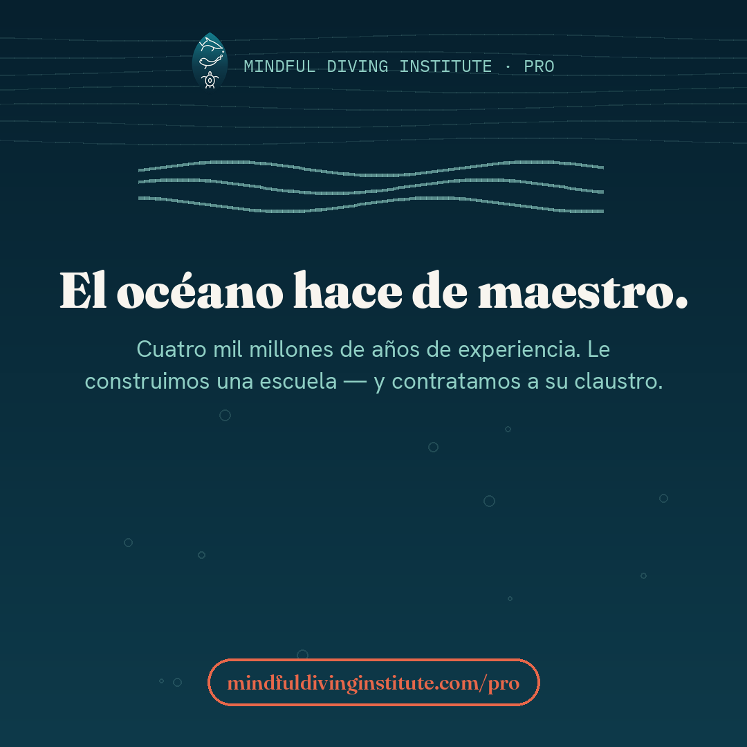 Deja que el océano enseñe — Mindful Diving PRO card 10 (ES)